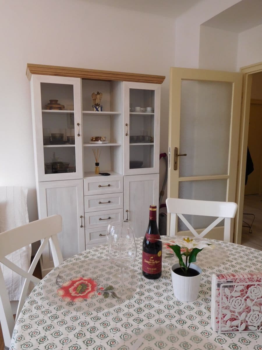 1 bedroom with open-plan kitchen flat to rent, 54 m², Na Malovance, Prague, Prague 1 bedroom with open-plan kitchen flat to rent, 54 m², Na Malovance, Prague, Prague