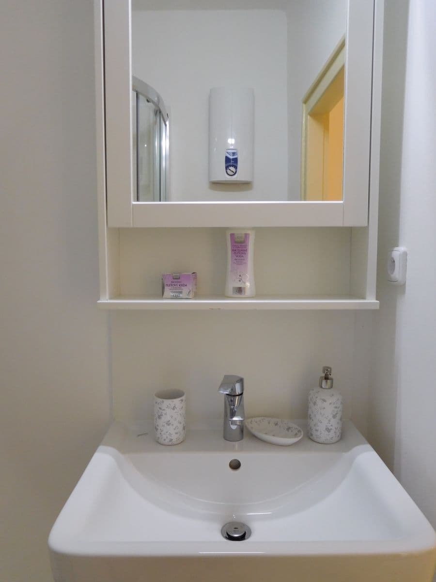 1 bedroom with open-plan kitchen flat to rent, 54 m², Na Malovance, Prague, Prague 1 bedroom with open-plan kitchen flat to rent, 54 m², Na Malovance, Prague, Prague