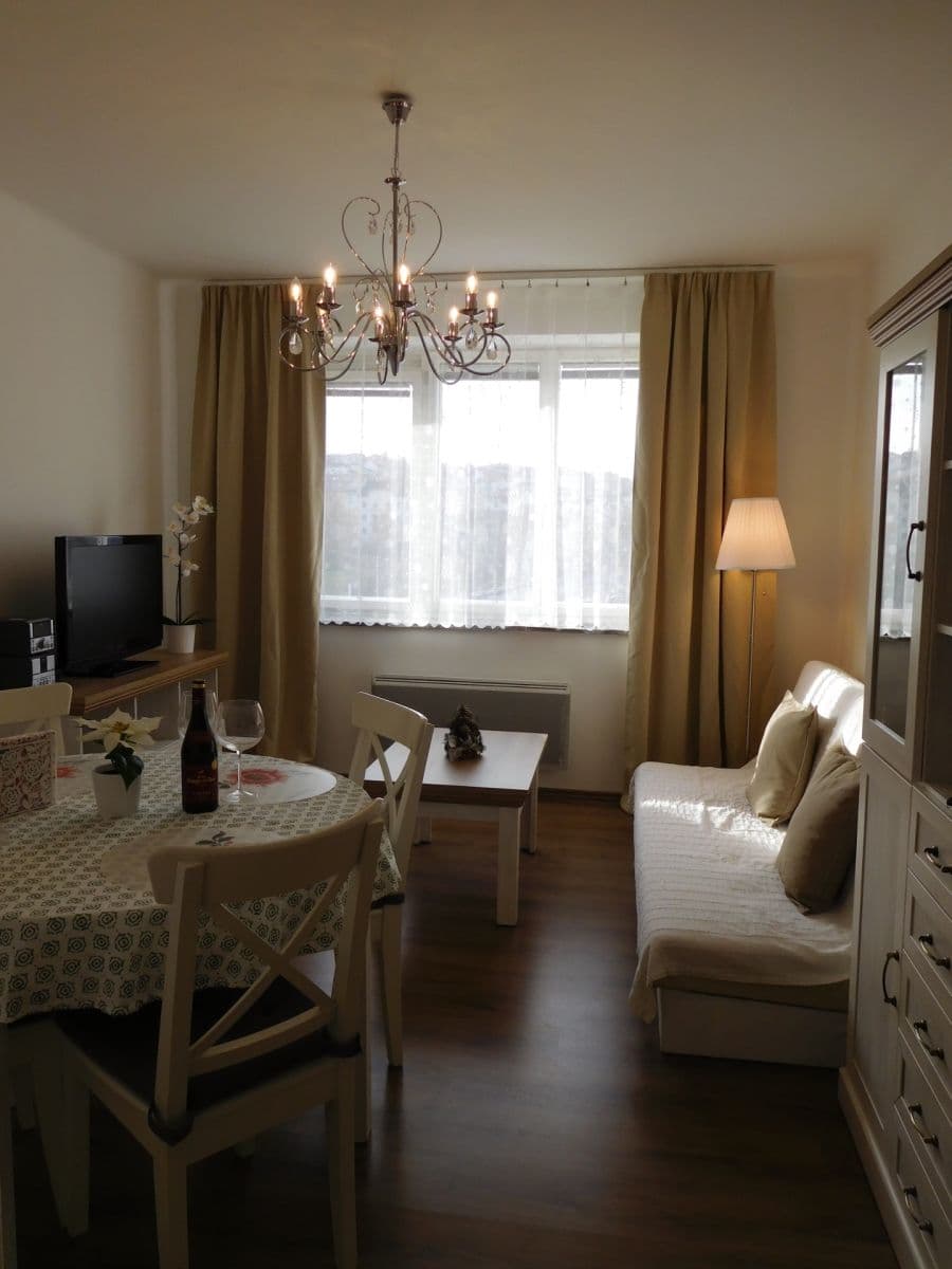 1 bedroom with open-plan kitchen flat to rent, 54 m², Na Malovance, Prague, Prague 1 bedroom with open-plan kitchen flat to rent, 54 m², Na Malovance, Prague, Prague