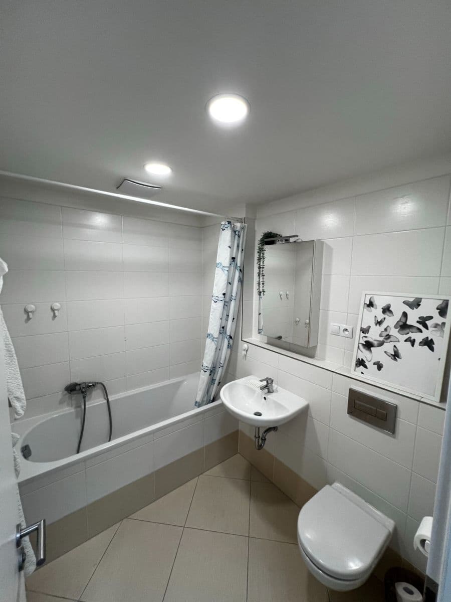 1 bedroom with open-plan kitchen flat to rent, 52 m², Štanderova, Prague, Prague 1 bedroom with open-plan kitchen flat to rent, 52 m², Štanderova, Prague, Prague