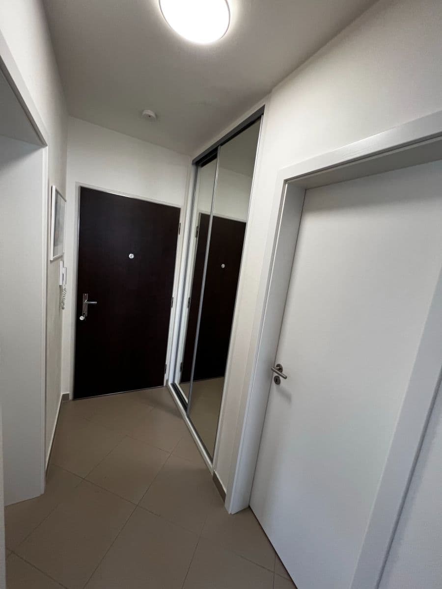1 bedroom with open-plan kitchen flat to rent, 52 m², Štanderova, Prague, Prague 1 bedroom with open-plan kitchen flat to rent, 52 m², Štanderova, Prague, Prague