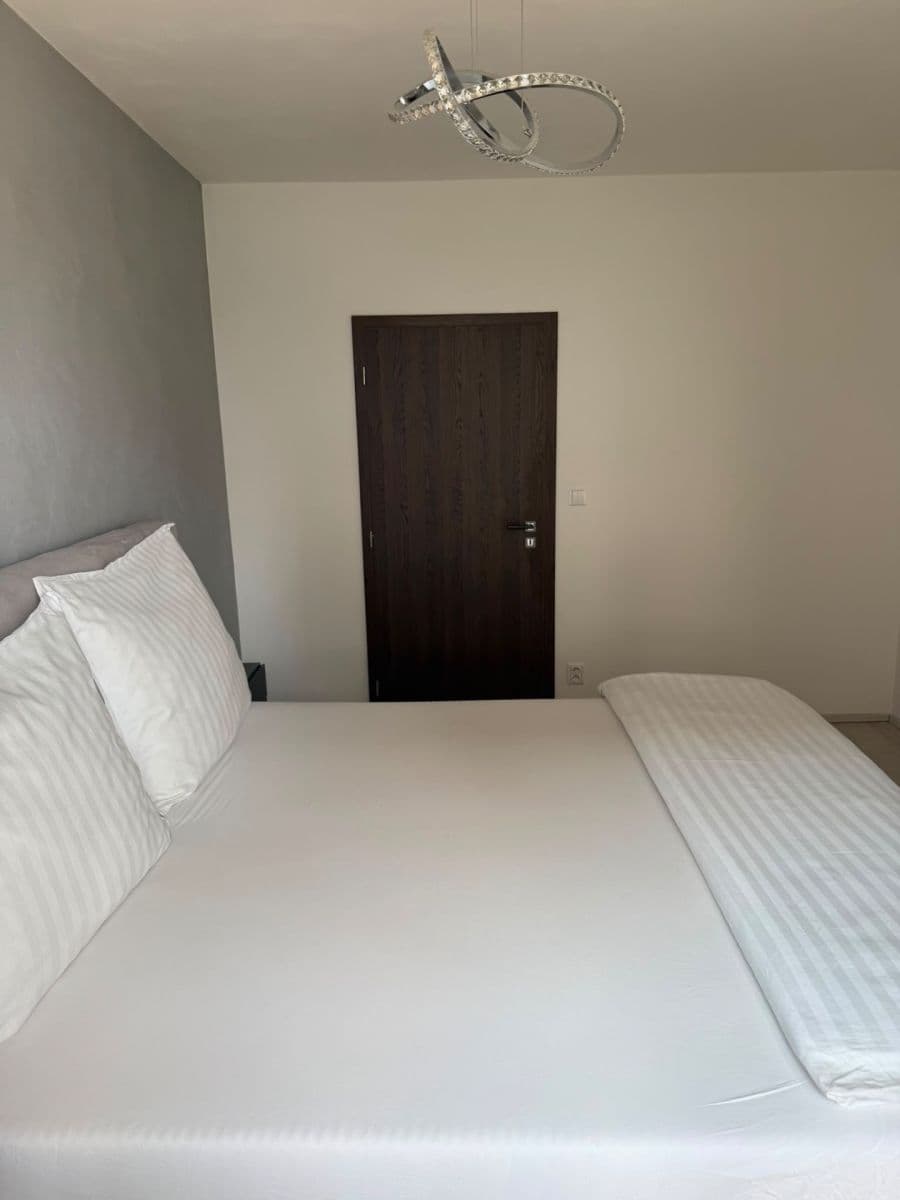 1 bedroom with open-plan kitchen flat to rent, 54 m², Želetická, Prague, Prague 1 bedroom with open-plan kitchen flat to rent, 54 m², Želetická, Prague, Prague