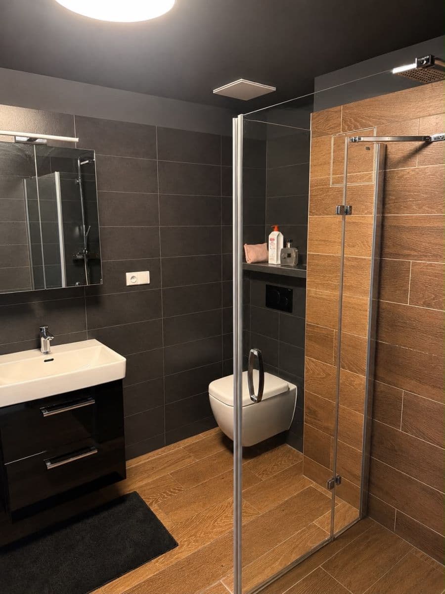1 bedroom with open-plan kitchen flat to rent, 54 m², Želetická, Prague, Prague 1 bedroom with open-plan kitchen flat to rent, 54 m², Želetická, Prague, Prague