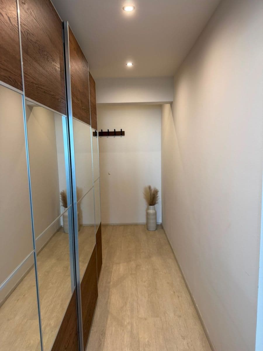 1 bedroom with open-plan kitchen flat to rent, 54 m², Želetická, Prague, Prague 1 bedroom with open-plan kitchen flat to rent, 54 m², Želetická, Prague, Prague