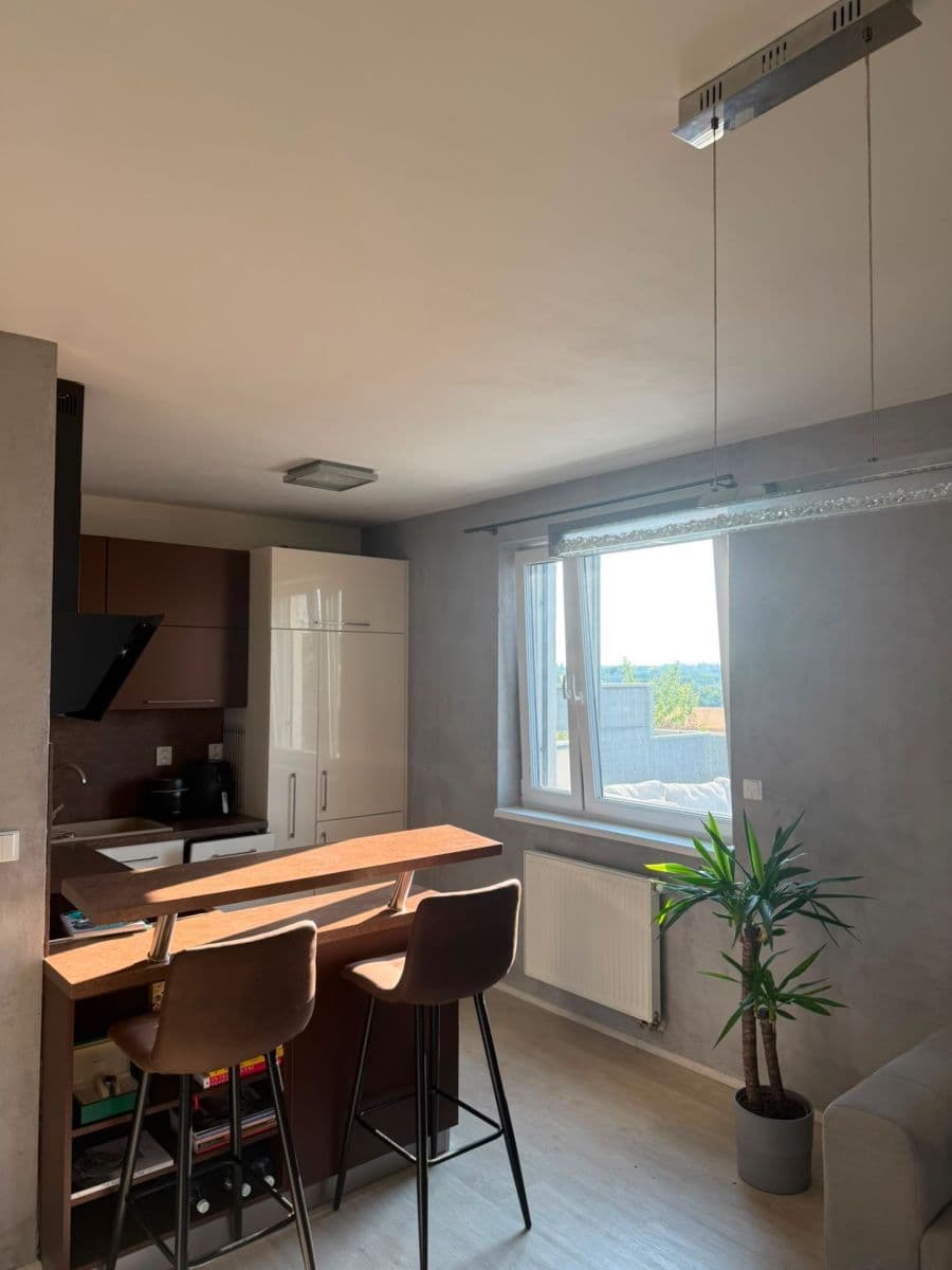 1 bedroom with open-plan kitchen flat to rent, 54 m², Želetická, Prague, Prague 1 bedroom with open-plan kitchen flat to rent, 54 m², Želetická, Prague, Prague