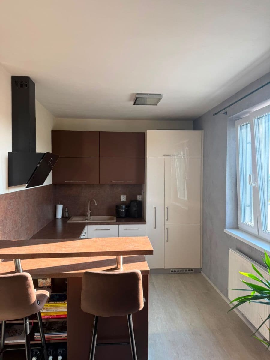 1 bedroom with open-plan kitchen flat to rent, 54 m², Želetická, Prague, Prague 1 bedroom with open-plan kitchen flat to rent, 54 m², Želetická, Prague, Prague
