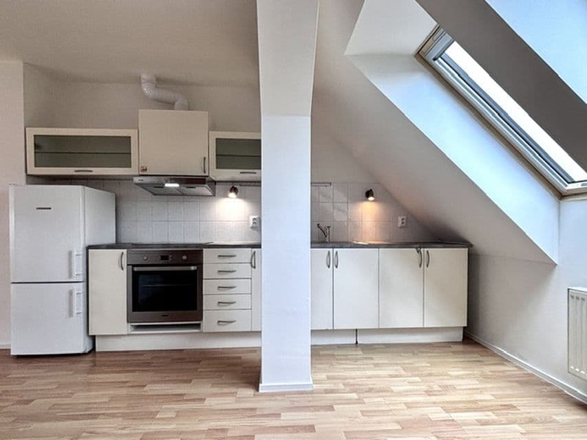 1 bedroom with open-plan kitchen flat to rent, 55 m², Vítkova, Prague, Prague 1 bedroom with open-plan kitchen flat to rent, 55 m², Vítkova, Prague, Prague