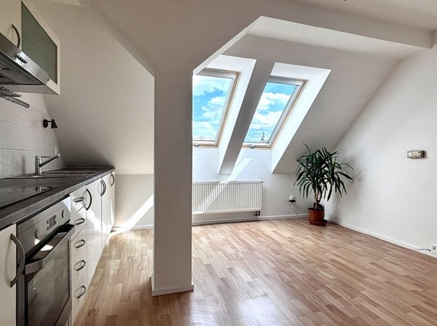 1 bedroom with open-plan kitchen flat to rent, 55 m², Vítkova, Prague, Prague 1 bedroom with open-plan kitchen flat to rent, 55 m², Vítkova, Prague, Prague