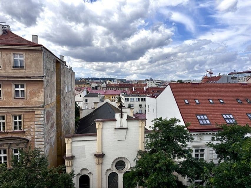 1 bedroom with open-plan kitchen flat to rent, 55 m², Vítkova, Prague, Prague 1 bedroom with open-plan kitchen flat to rent, 55 m², Vítkova, Prague, Prague