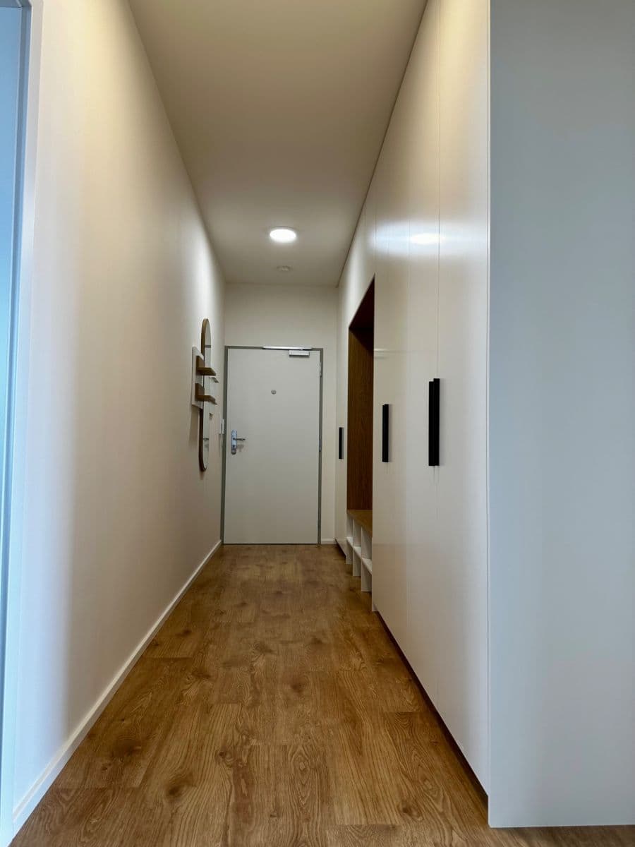 1 bedroom with open-plan kitchen flat to rent, 64 m², Gerstelova, Prague, Prague 1 bedroom with open-plan kitchen flat to rent, 64 m², Gerstelova, Prague, Prague
