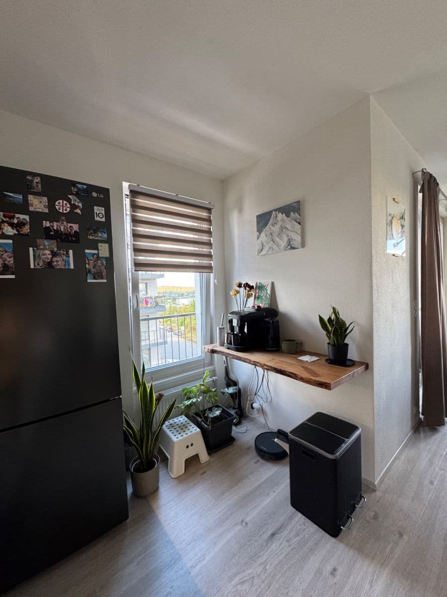 1 bedroom with open-plan kitchen flat to rent, 64 m², Františka Kováříka, Plzeň, Plzeňský Region 1 bedroom with open-plan kitchen flat to rent, 64 m², Františka Kováříka, Plzeň, Plzeňský Region