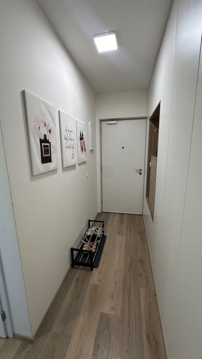 2 bedroom with open-plan kitchen flat to rent, 70 m², Ve Lhotce, Prague, Prague 2 bedroom with open-plan kitchen flat to rent, 70 m², Ve Lhotce, Prague, Prague
