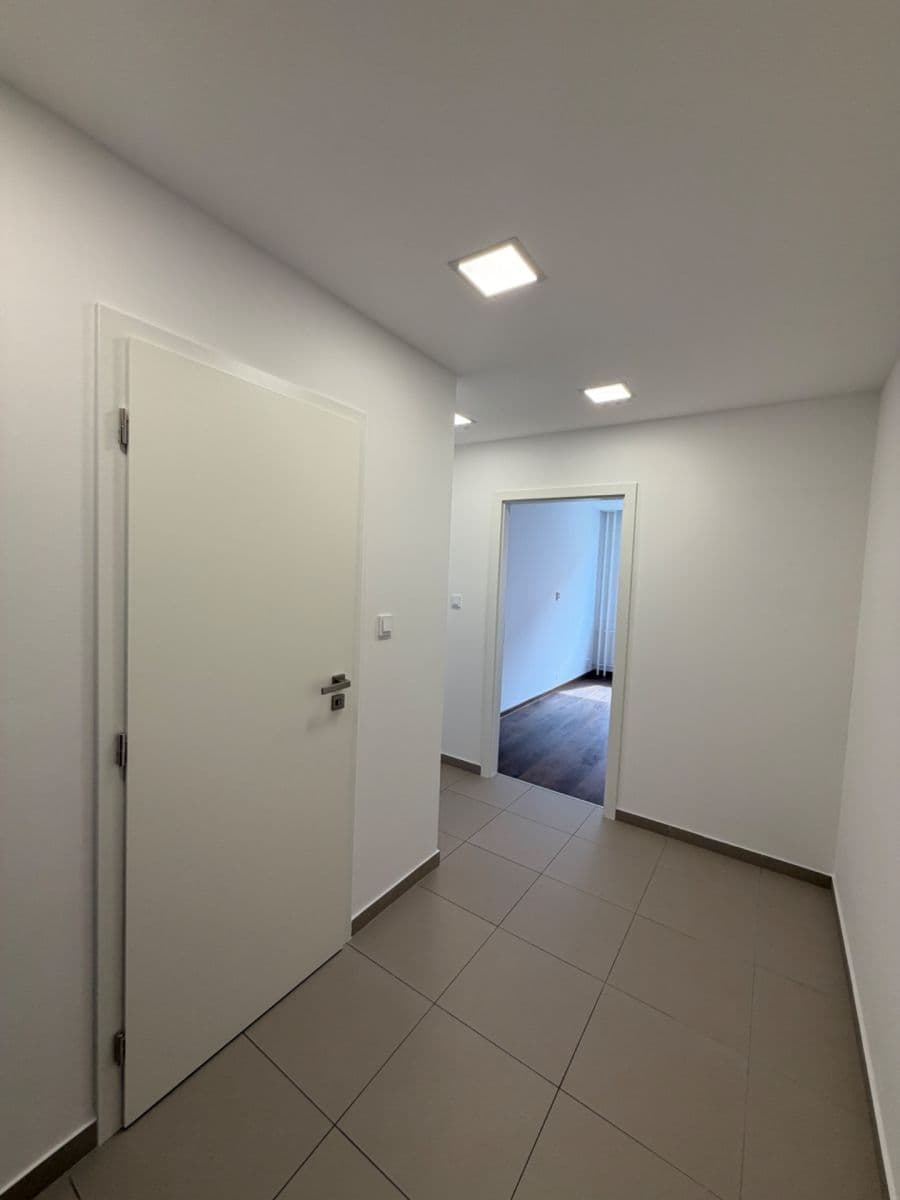 1 bedroom with open-plan kitchen flat to rent, 45 m², Mádrova, Prague, Prague 1 bedroom with open-plan kitchen flat to rent, 45 m², Mádrova, Prague, Prague