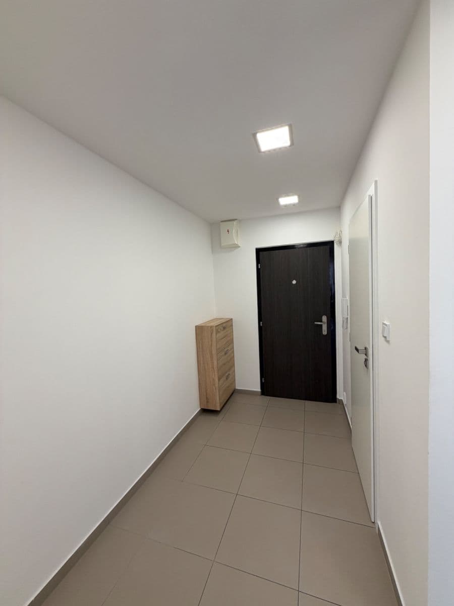 1 bedroom with open-plan kitchen flat to rent, 45 m², Mádrova, Prague, Prague 1 bedroom with open-plan kitchen flat to rent, 45 m², Mádrova, Prague, Prague