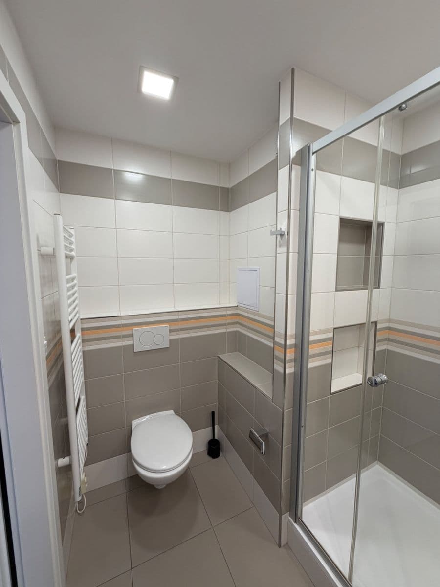 1 bedroom with open-plan kitchen flat to rent, 45 m², Mádrova, Prague, Prague 1 bedroom with open-plan kitchen flat to rent, 45 m², Mádrova, Prague, Prague