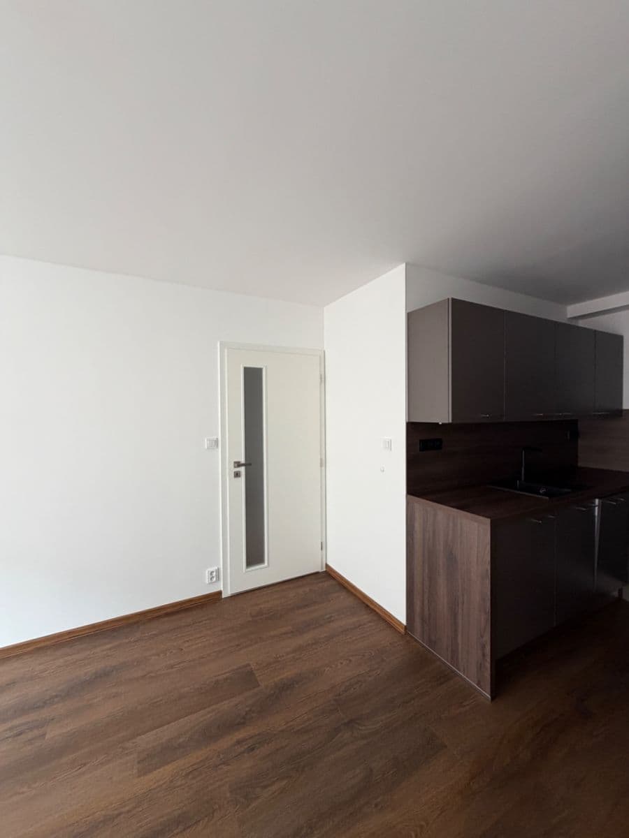 1 bedroom with open-plan kitchen flat to rent, 45 m², Mádrova, Prague, Prague 1 bedroom with open-plan kitchen flat to rent, 45 m², Mádrova, Prague, Prague