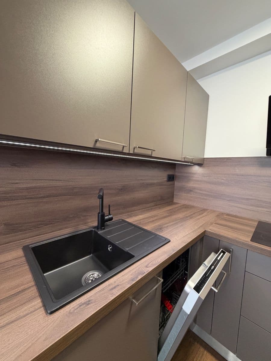 1 bedroom with open-plan kitchen flat to rent, 45 m², Mádrova, Prague, Prague 1 bedroom with open-plan kitchen flat to rent, 45 m², Mádrova, Prague, Prague