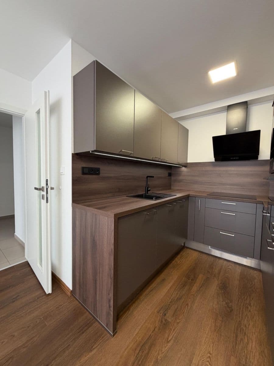 1 bedroom with open-plan kitchen flat to rent, 45 m², Mádrova, Prague, Prague 1 bedroom with open-plan kitchen flat to rent, 45 m², Mádrova, Prague, Prague