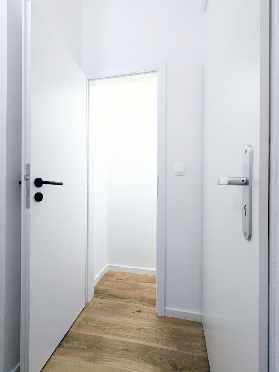 1 bedroom with open-plan kitchen flat for sale, 52 m², Petrohradská, Prague, Prague 1 bedroom with open-plan kitchen flat for sale, 52 m², Petrohradská, Prague, Prague