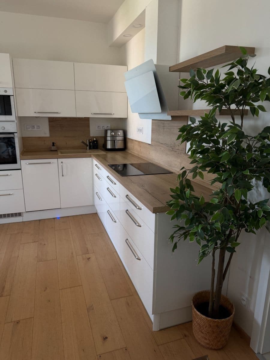 1 bedroom with open-plan kitchen flat to rent, 61 m², Kačírkova, Prague, Prague 1 bedroom with open-plan kitchen flat to rent, 61 m², Kačírkova, Prague, Prague