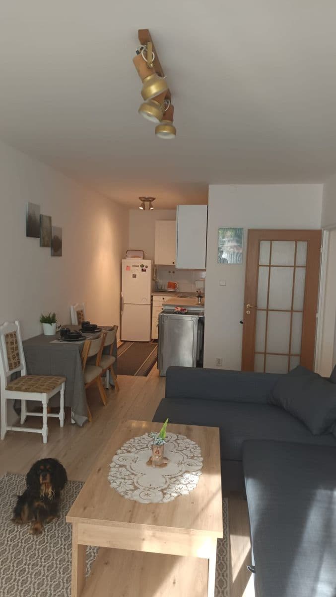 1 bedroom with open-plan kitchen flat for sale, 50 m², Československé armády, Frýdek-Místek, Moravskoslezský Region 1 bedroom with open-plan kitchen flat for sale, 50 m², Československé armády, Frýdek-Místek, Moravskoslezský Region