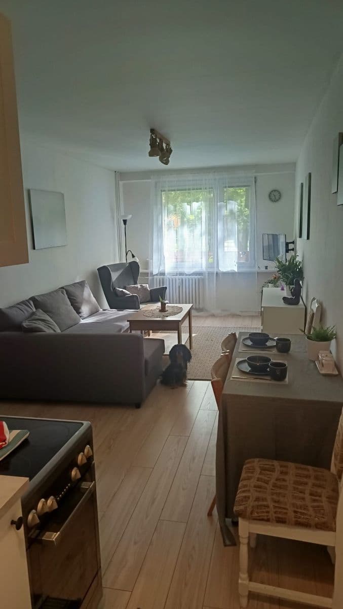 1 bedroom with open-plan kitchen flat for sale, 50 m², Československé armády, Frýdek-Místek, Moravskoslezský Region 1 bedroom with open-plan kitchen flat for sale, 50 m², Československé armády, Frýdek-Místek, Moravskoslezský Region