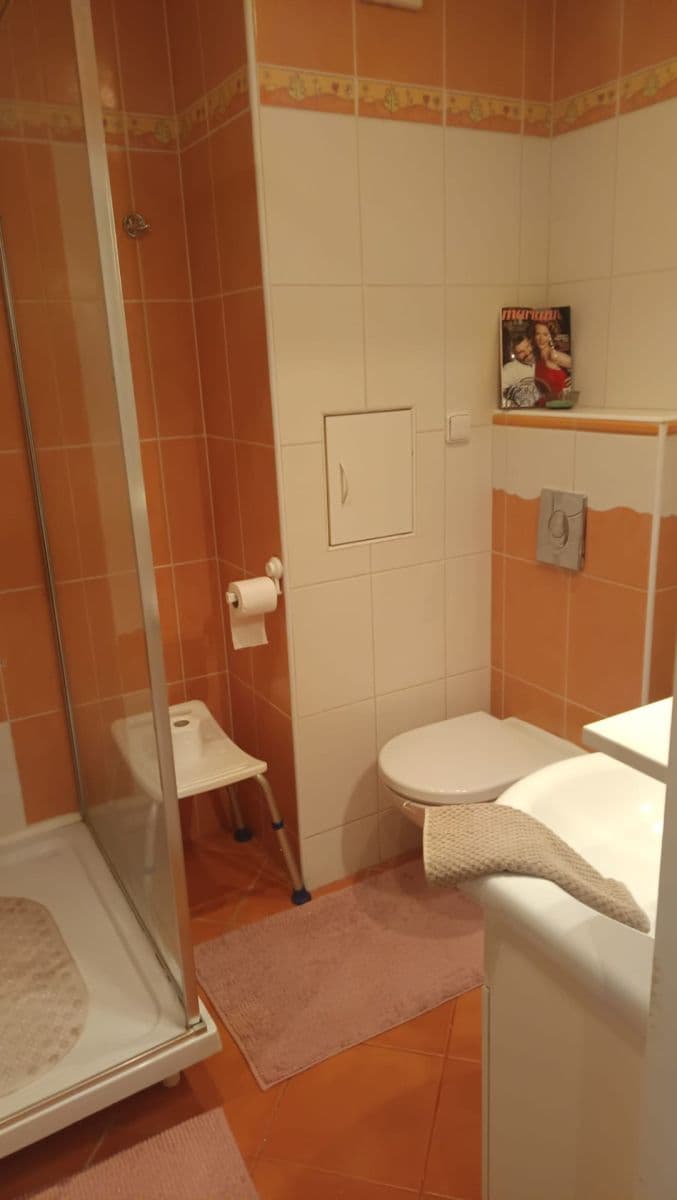 1 bedroom with open-plan kitchen flat for sale, 50 m², Československé armády, Frýdek-Místek, Moravskoslezský Region 1 bedroom with open-plan kitchen flat for sale, 50 m², Československé armády, Frýdek-Místek, Moravskoslezský Region