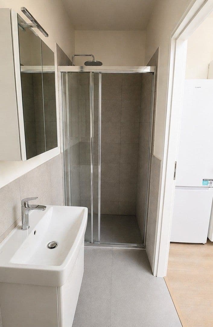 1 bedroom with open-plan kitchen flat to rent, 37 m², Jugoslávská, Prague, Prague 1 bedroom with open-plan kitchen flat to rent, 37 m², Jugoslávská, Prague, Prague