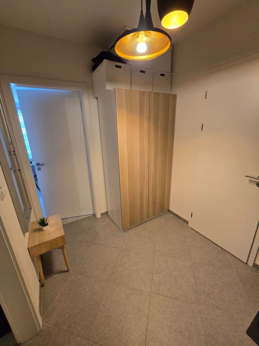 1 bedroom with open-plan kitchen flat to rent, 51 m², Ondrákové, Prague, Prague 1 bedroom with open-plan kitchen flat to rent, 51 m², Ondrákové, Prague, Prague