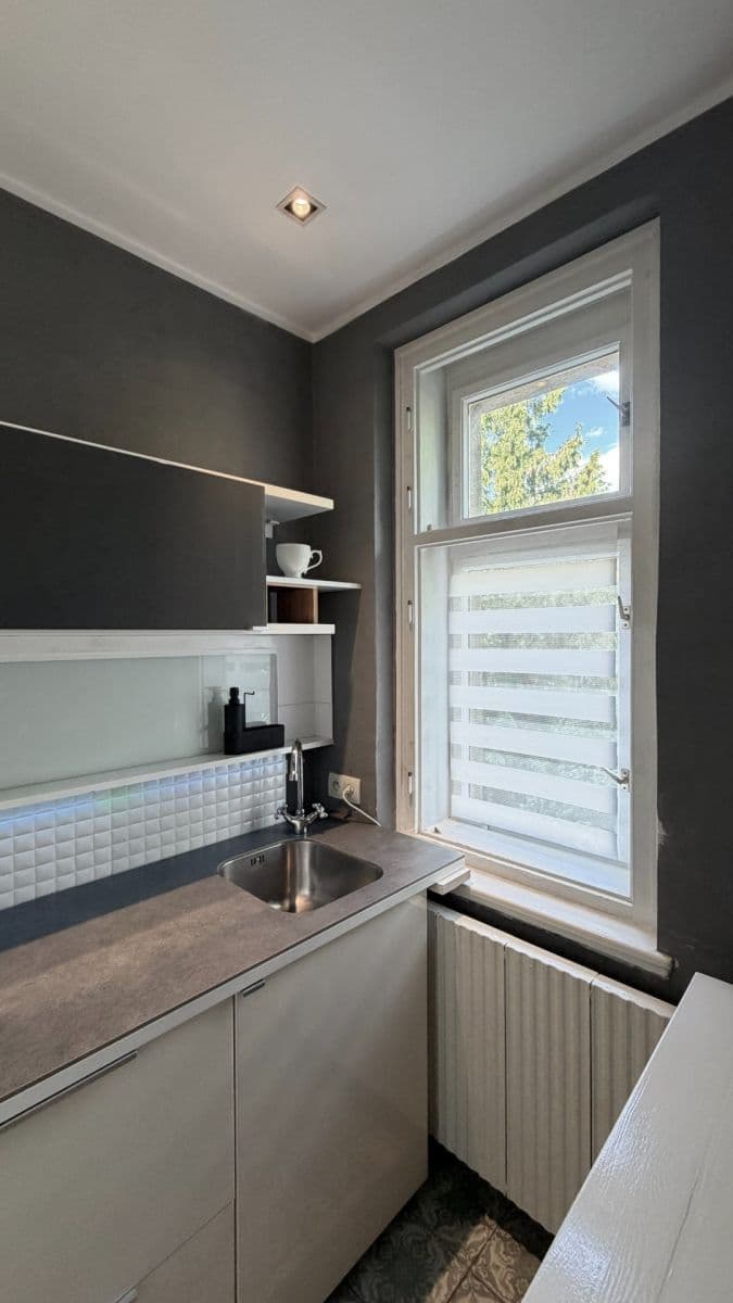 1 bedroom with open-plan kitchen flat to rent, 40 m², U Mlýna, Prague, Prague 1 bedroom with open-plan kitchen flat to rent, 40 m², U Mlýna, Prague, Prague