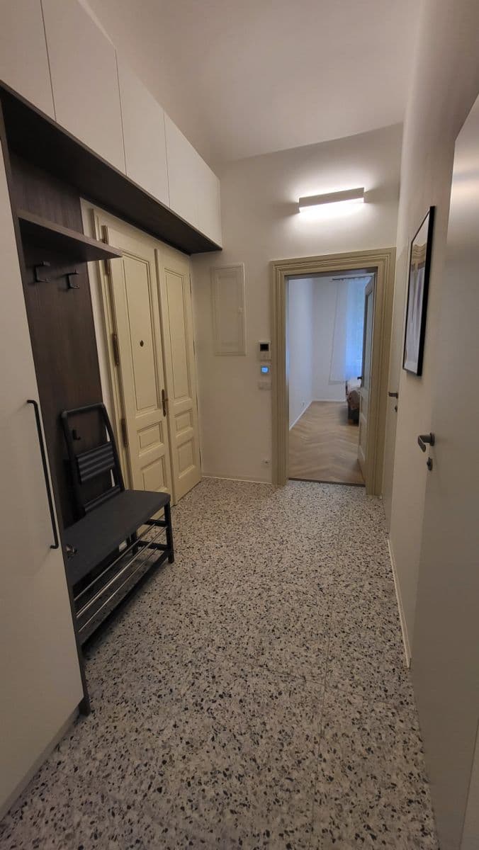 1 bedroom with open-plan kitchen flat to rent, 44 m², Tolstého, Prague, Prague 1 bedroom with open-plan kitchen flat to rent, 44 m², Tolstého, Prague, Prague
