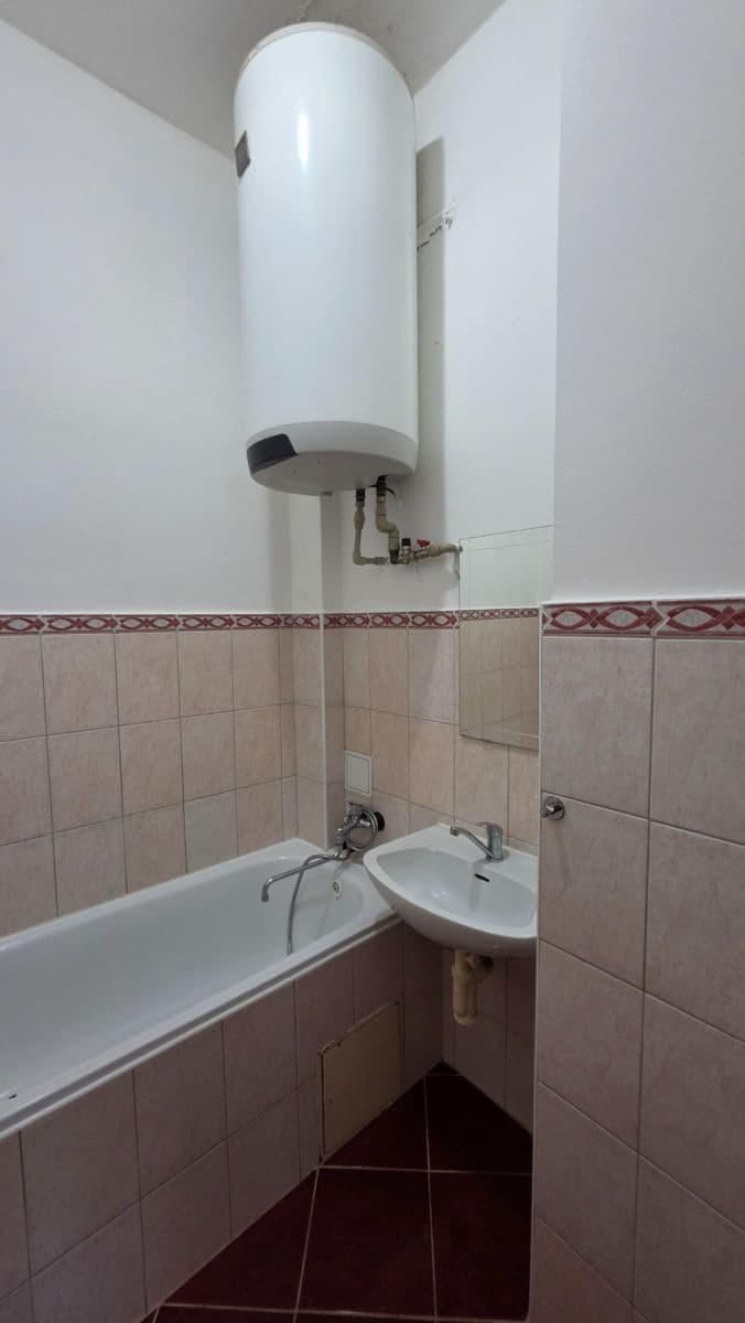 1 bedroom with open-plan kitchen flat to rent, 42 m², Vrchlického, Prague, Prague 1 bedroom with open-plan kitchen flat to rent, 42 m², Vrchlického, Prague, Prague