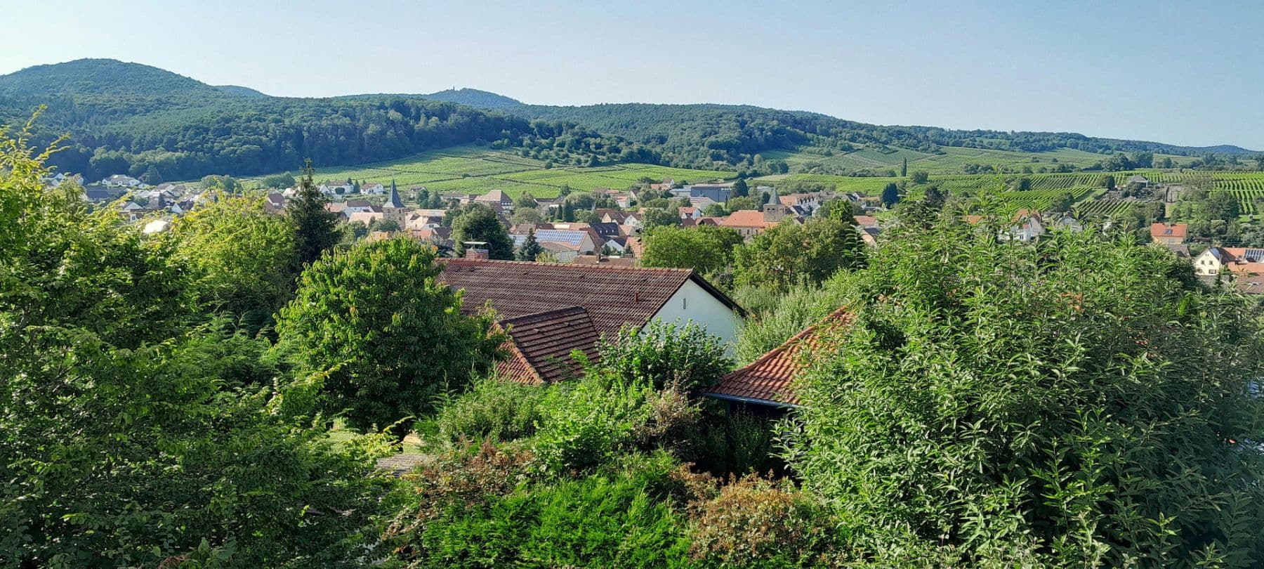house for sale, 330 m², Oberotterbach, Rhineland-Palatinate house for sale, 330 m², Oberotterbach, Rhineland-Palatinate