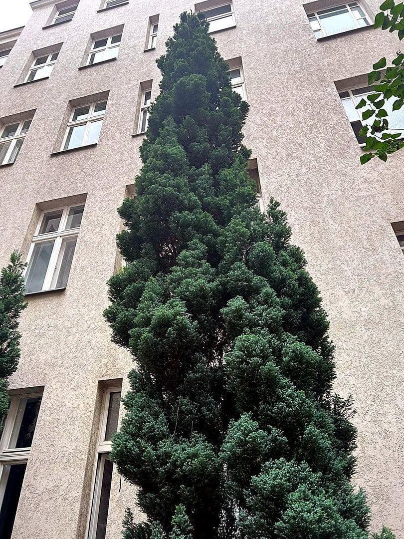 1 bedroom flat to rent, 42 m², Berlin, Berlin 1 bedroom flat to rent, 42 m², Berlin, Berlin