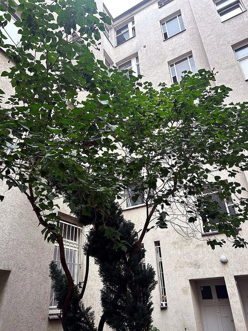 1 bedroom flat to rent, 42 m², Berlin, Berlin 1 bedroom flat to rent, 42 m², Berlin, Berlin