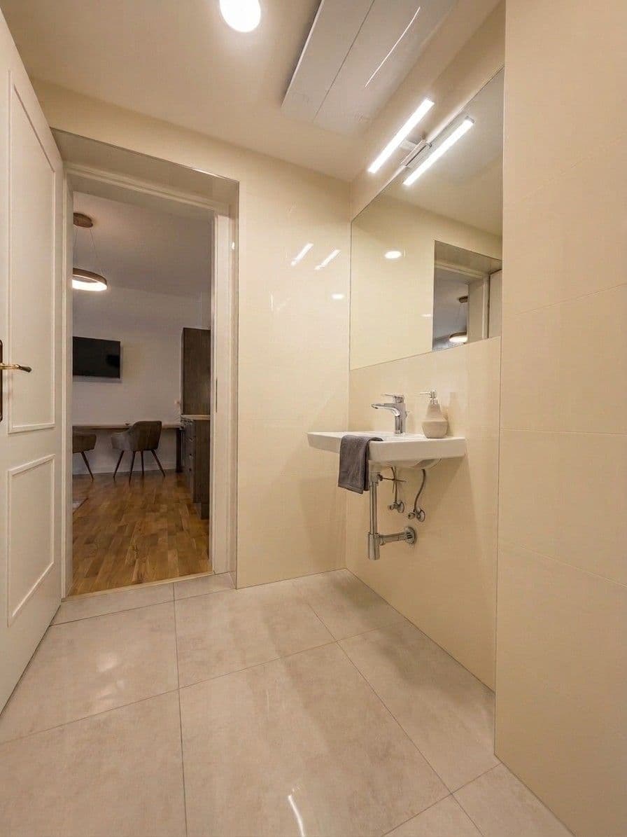 1 bedroom with open-plan kitchen flat for sale, 47 m², Vítkova, Prague, Prague 1 bedroom with open-plan kitchen flat for sale, 47 m², Vítkova, Prague, Prague