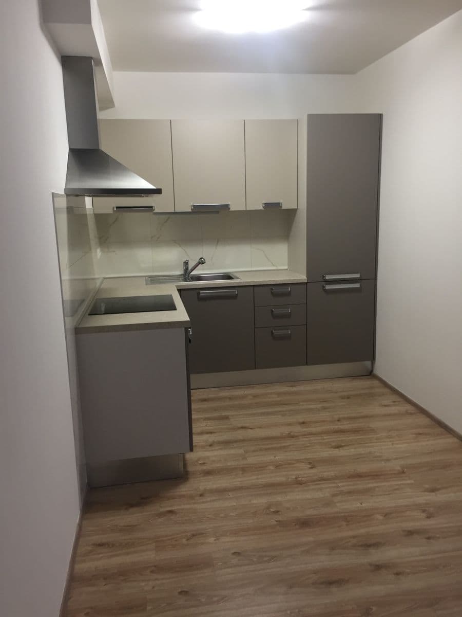 1 bedroom with open-plan kitchen flat for sale, 44 m², Loosova, Prague, Prague 1 bedroom with open-plan kitchen flat for sale, 44 m², Loosova, Prague, Prague