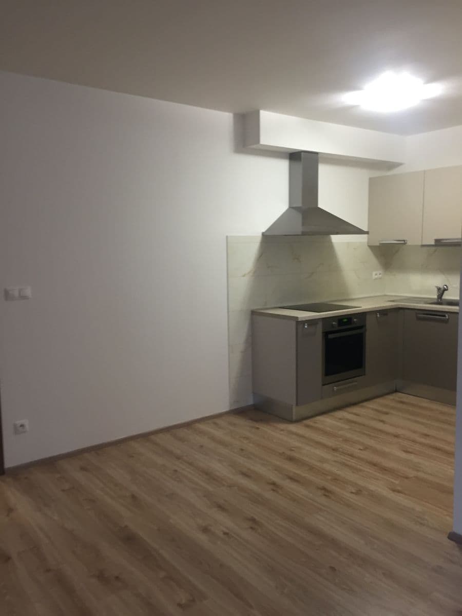 1 bedroom with open-plan kitchen flat for sale, 44 m², Loosova, Prague, Prague 1 bedroom with open-plan kitchen flat for sale, 44 m², Loosova, Prague, Prague