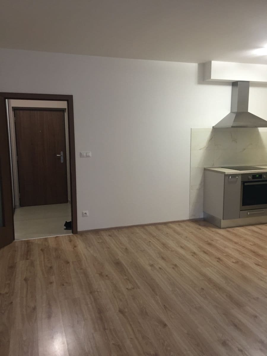 1 bedroom with open-plan kitchen flat for sale, 44 m², Loosova, Prague, Prague 1 bedroom with open-plan kitchen flat for sale, 44 m², Loosova, Prague, Prague