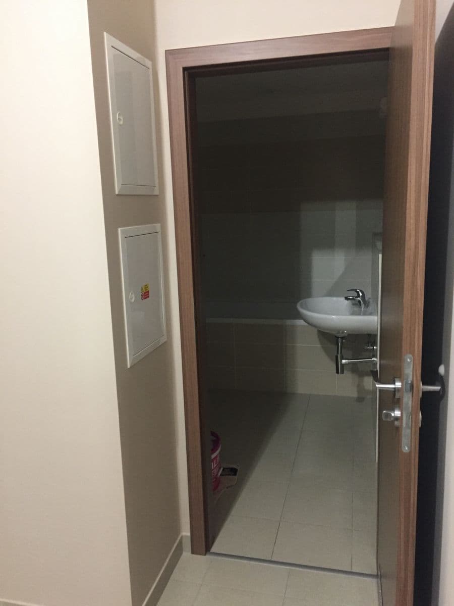 1 bedroom with open-plan kitchen flat for sale, 44 m², Loosova, Prague, Prague 1 bedroom with open-plan kitchen flat for sale, 44 m², Loosova, Prague, Prague