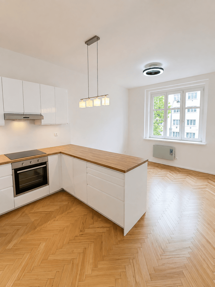 1 bedroom with open-plan kitchen flat to rent, 53 m², Hartigova, Prague, Prague 1 bedroom with open-plan kitchen flat to rent, 53 m², Hartigova, Prague, Prague