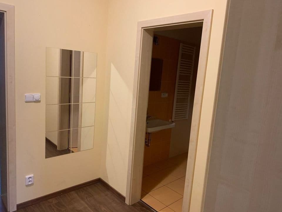 1 bedroom with open-plan kitchen flat to rent, 50 m², Gen. Peřiny, Hustopeče, Jihomoravský Region 1 bedroom with open-plan kitchen flat to rent, 50 m², Gen. Peřiny, Hustopeče, Jihomoravský Region