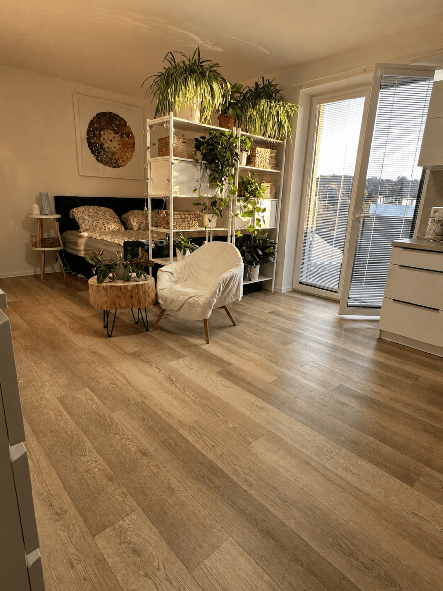 Studio flat to rent, 36 m², Na Křtaltě, Zábřeh, Olomoucký Region Studio flat to rent, 36 m², Na Křtaltě, Zábřeh, Olomoucký Region