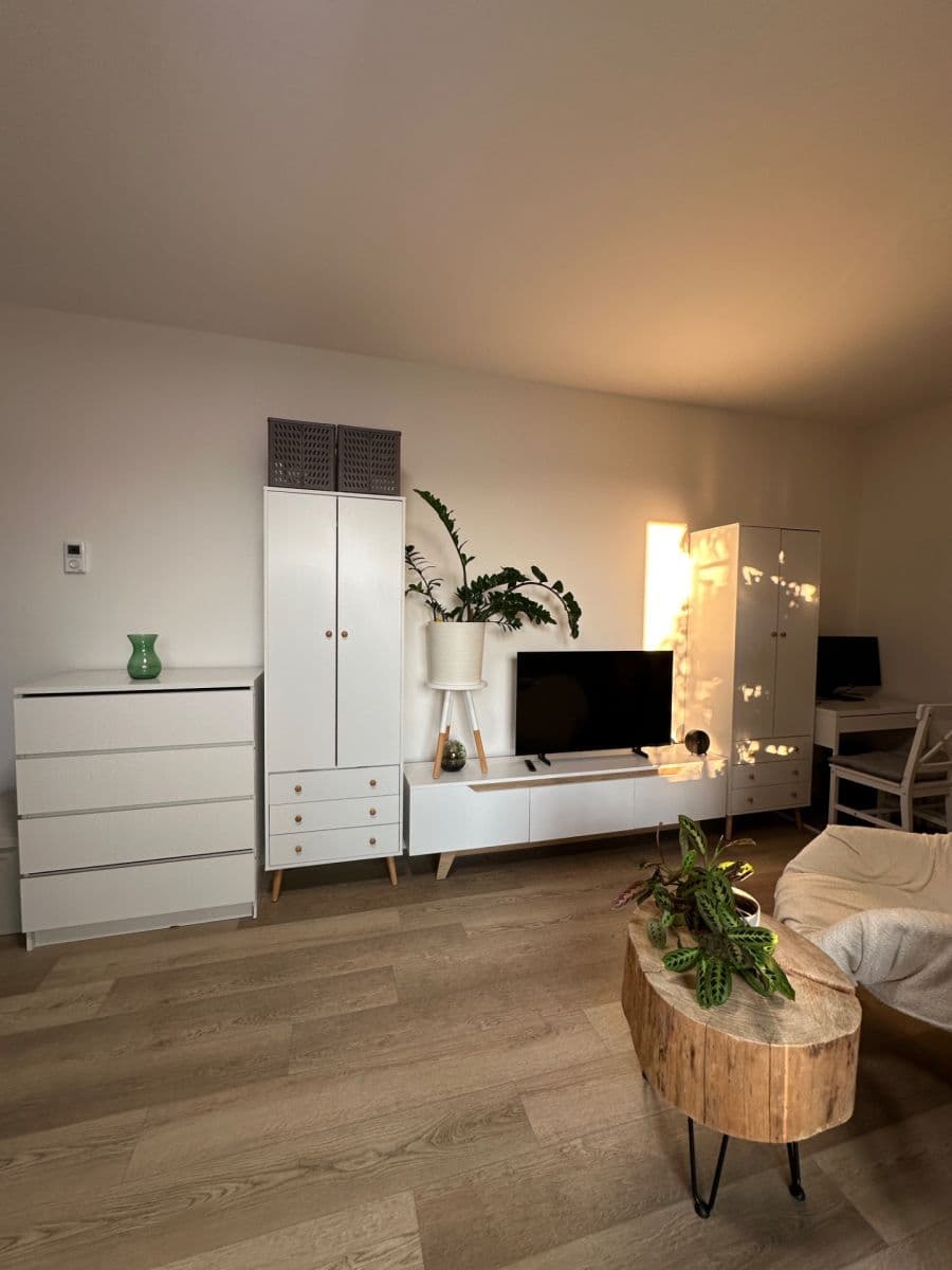 Studio flat to rent, 36 m², Na Křtaltě, Zábřeh, Olomoucký Region Studio flat to rent, 36 m², Na Křtaltě, Zábřeh, Olomoucký Region