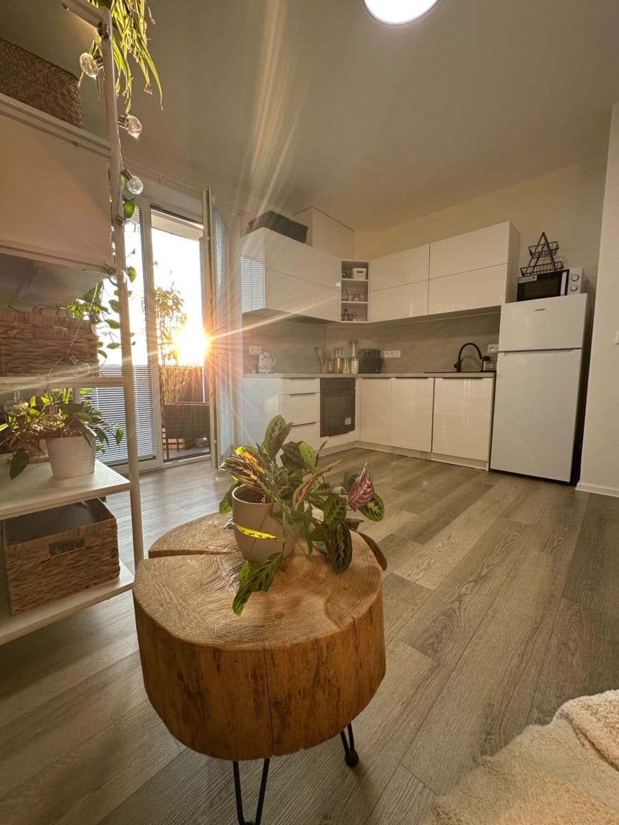 Studio flat to rent, 36 m², Na Křtaltě, Zábřeh, Olomoucký Region Studio flat to rent, 36 m², Na Křtaltě, Zábřeh, Olomoucký Region
