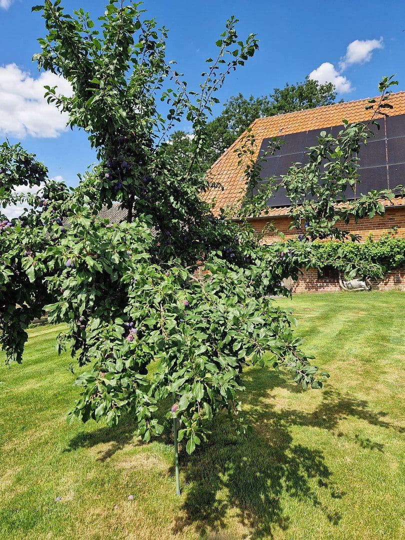 house for sale, 290 m², Gehlbergen 2, Bruchhausen-Vilsen, Lower Saxony house for sale, 290 m², Gehlbergen 2, Bruchhausen-Vilsen, Lower Saxony