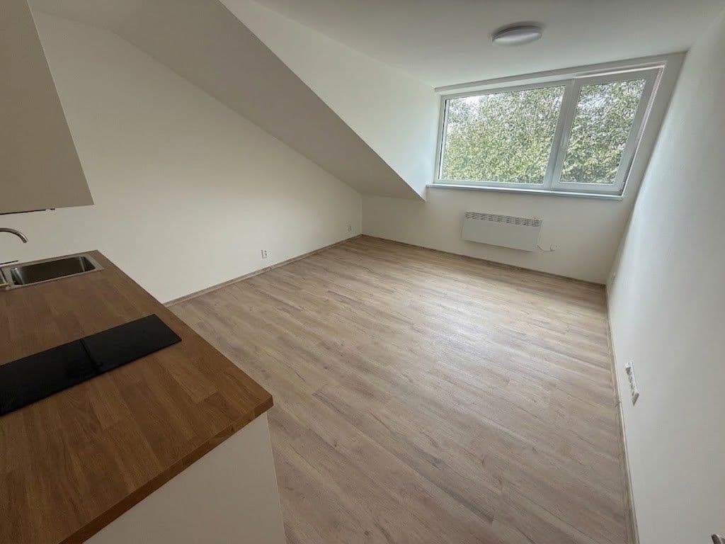 1 bedroom with open-plan kitchen flat to rent, 35 m², Baarovo nábřeží, Brno, Jihomoravský Region 1 bedroom with open-plan kitchen flat to rent, 35 m², Baarovo nábřeží, Brno, Jihomoravský Region