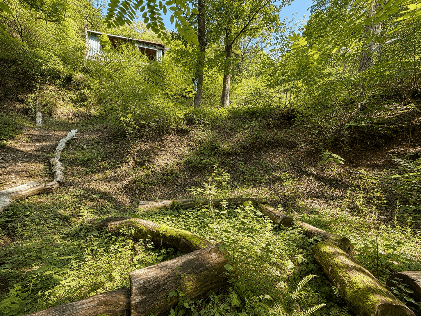 recreational property for sale, 1,313 m², Draháňské údolí, Zdiby, Středočeský Region recreational property for sale, 1,313 m², Draháňské údolí, Zdiby, Středočeský Region