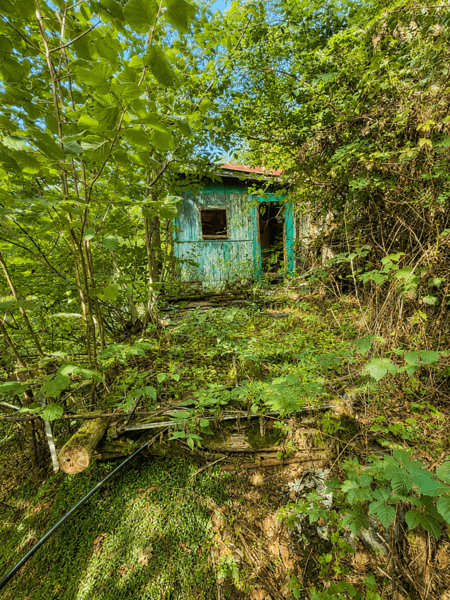 recreational property for sale, 1,313 m², Draháňské údolí, Zdiby, Středočeský Region recreational property for sale, 1,313 m², Draháňské údolí, Zdiby, Středočeský Region