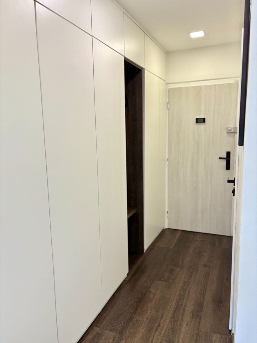 1 bedroom with open-plan kitchen flat to rent, 44 m², Neapolská, Prague, Prague 1 bedroom with open-plan kitchen flat to rent, 44 m², Neapolská, Prague, Prague